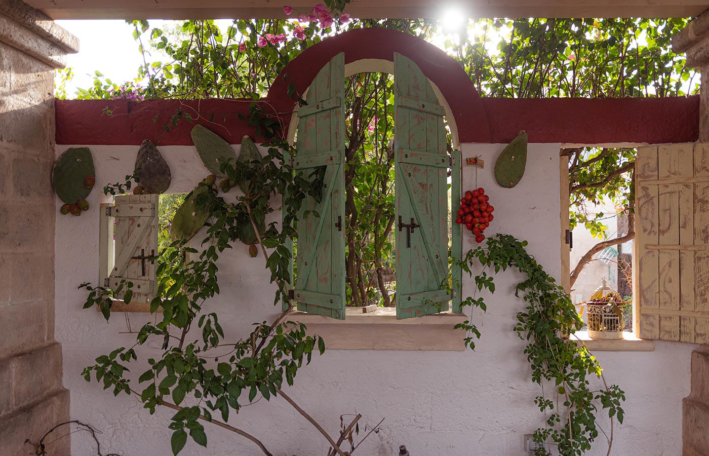 A Farm Holiday in Puglia