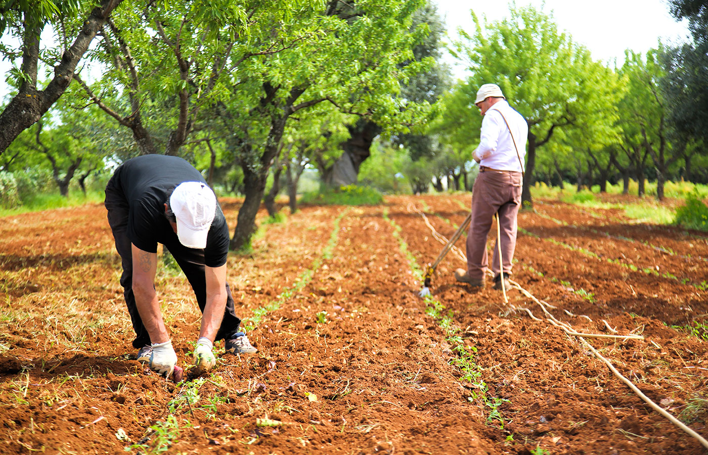 soggiorno in agriturismo