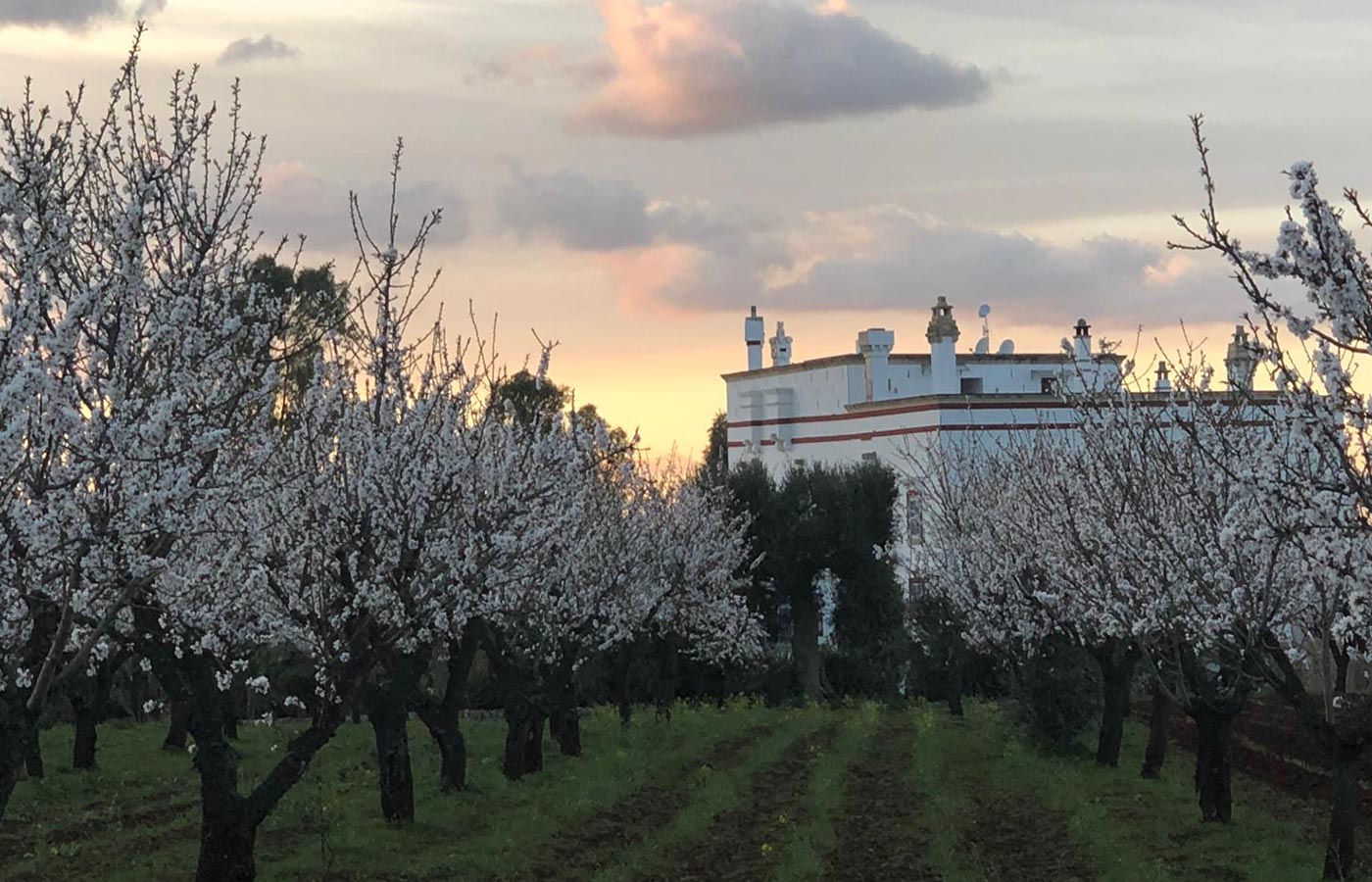 boutique hotel in puglia