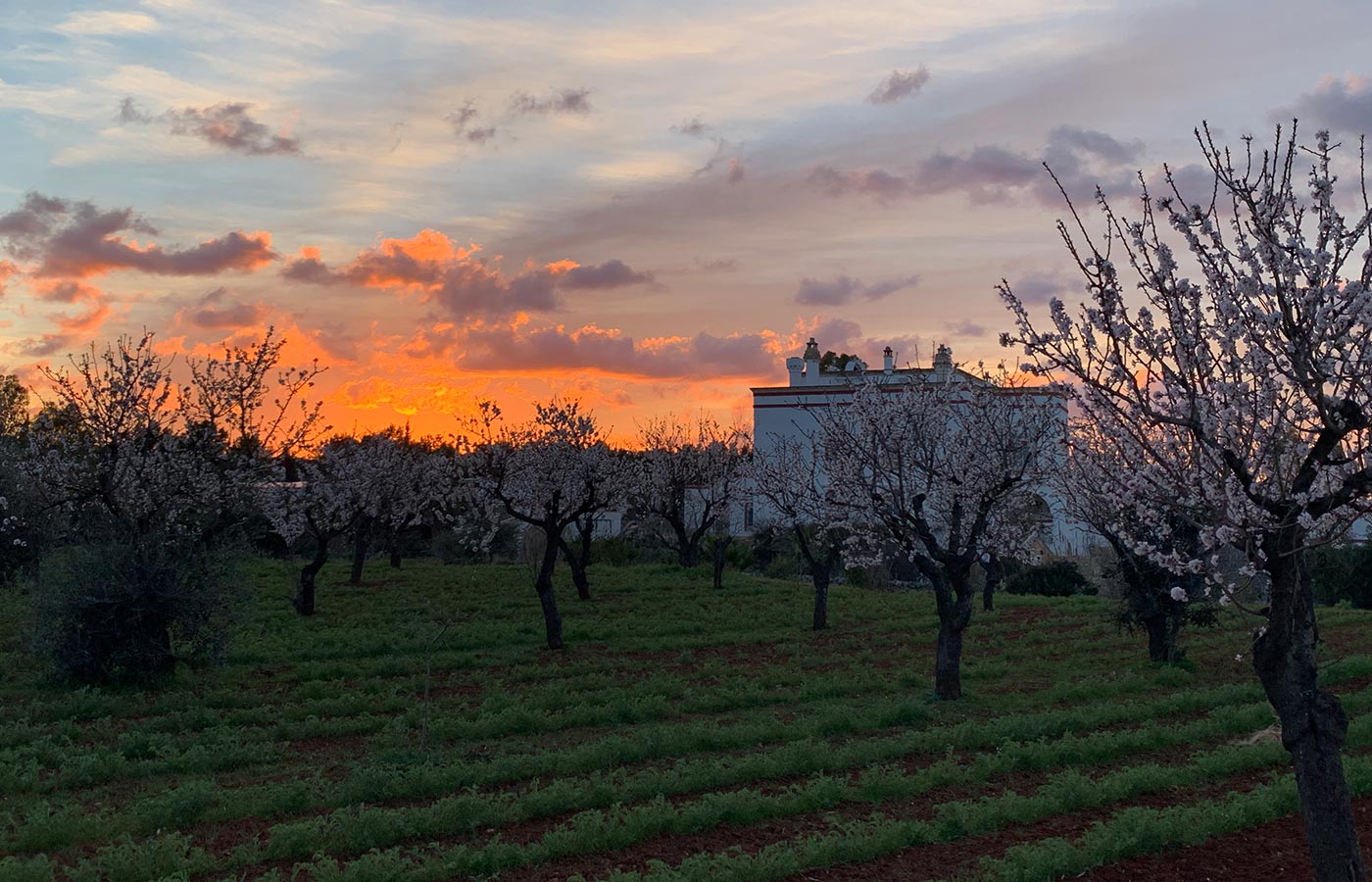 boutique hotel in puglia