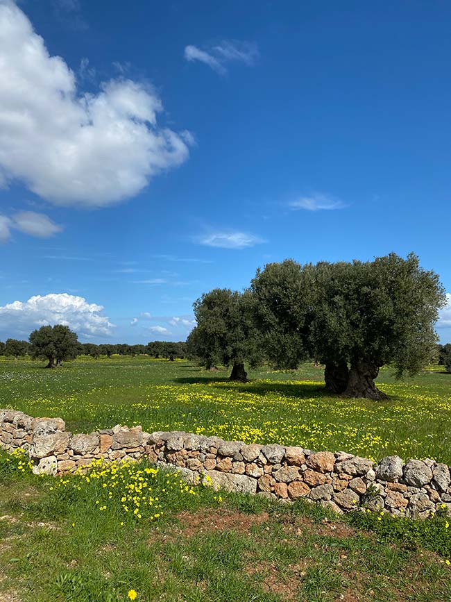 yoga retreat in masseria