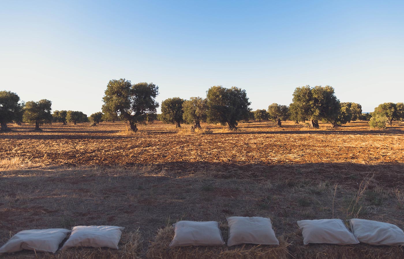 eventi e meeting a Masseria Montenapoleone, Puglia